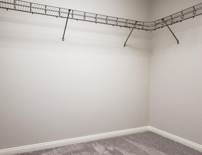 Building Photo - 4 BEDROOMS IN HIGHLANDS RANCH!!!