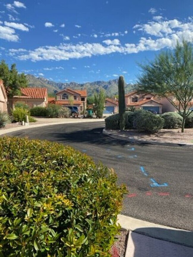 Building Photo - 5249 N Adobe Cir