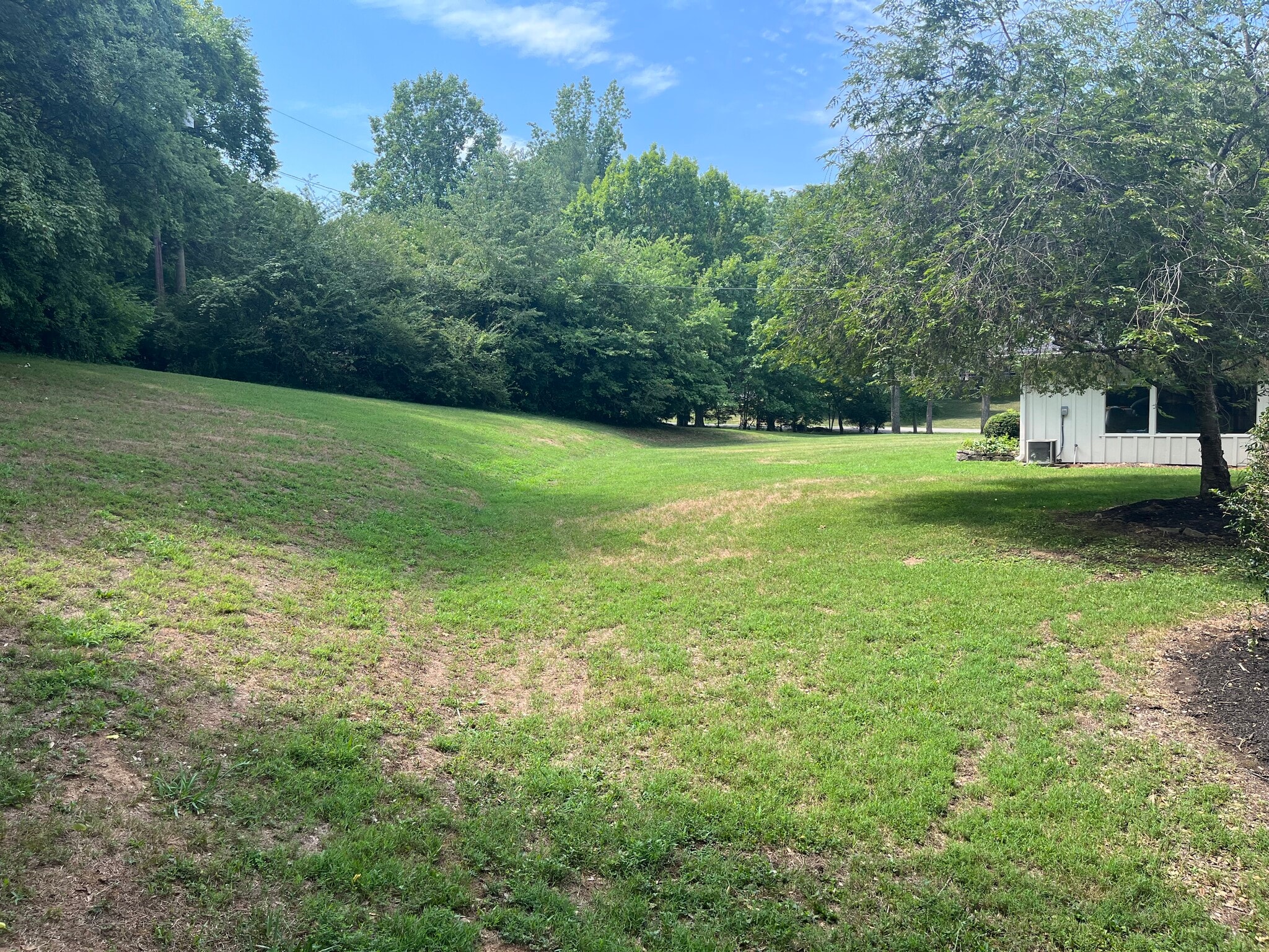 back yard - 1793 Tyne Blvd