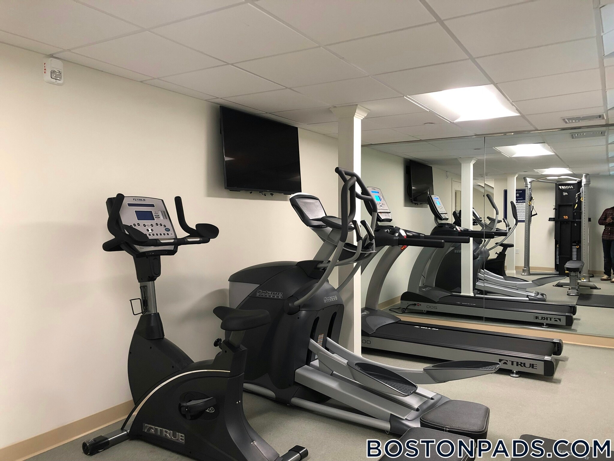 Building Photo - 20 Chauncy St