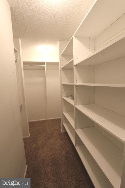 Building Photo - 83 Willow Ct