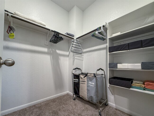 Building Photo - 25611 Ivory Gull Wy