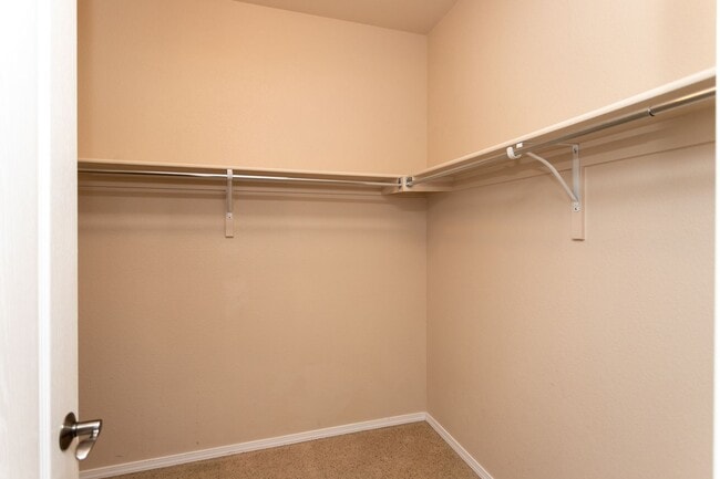 Building Photo - Beautiful Ranch in Pine Creek!