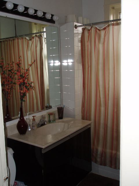 bathroom - 1483 W Farragut Ave