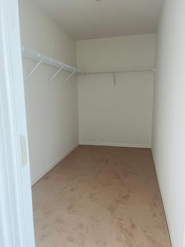 Building Photo - Brand new 4 bed 2 1/2 bath house in gated ...