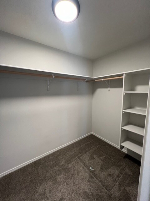 Building Photo - 4 Bed 2 Bath Home in Nampa!