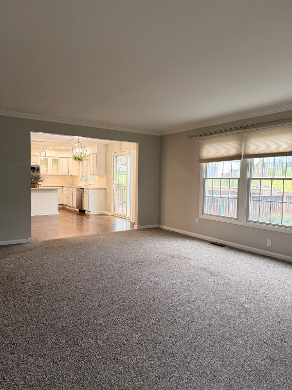 Building Photo - 509 Bluegrass Dr