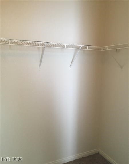 Building Photo - 3608 Tundra Swan St