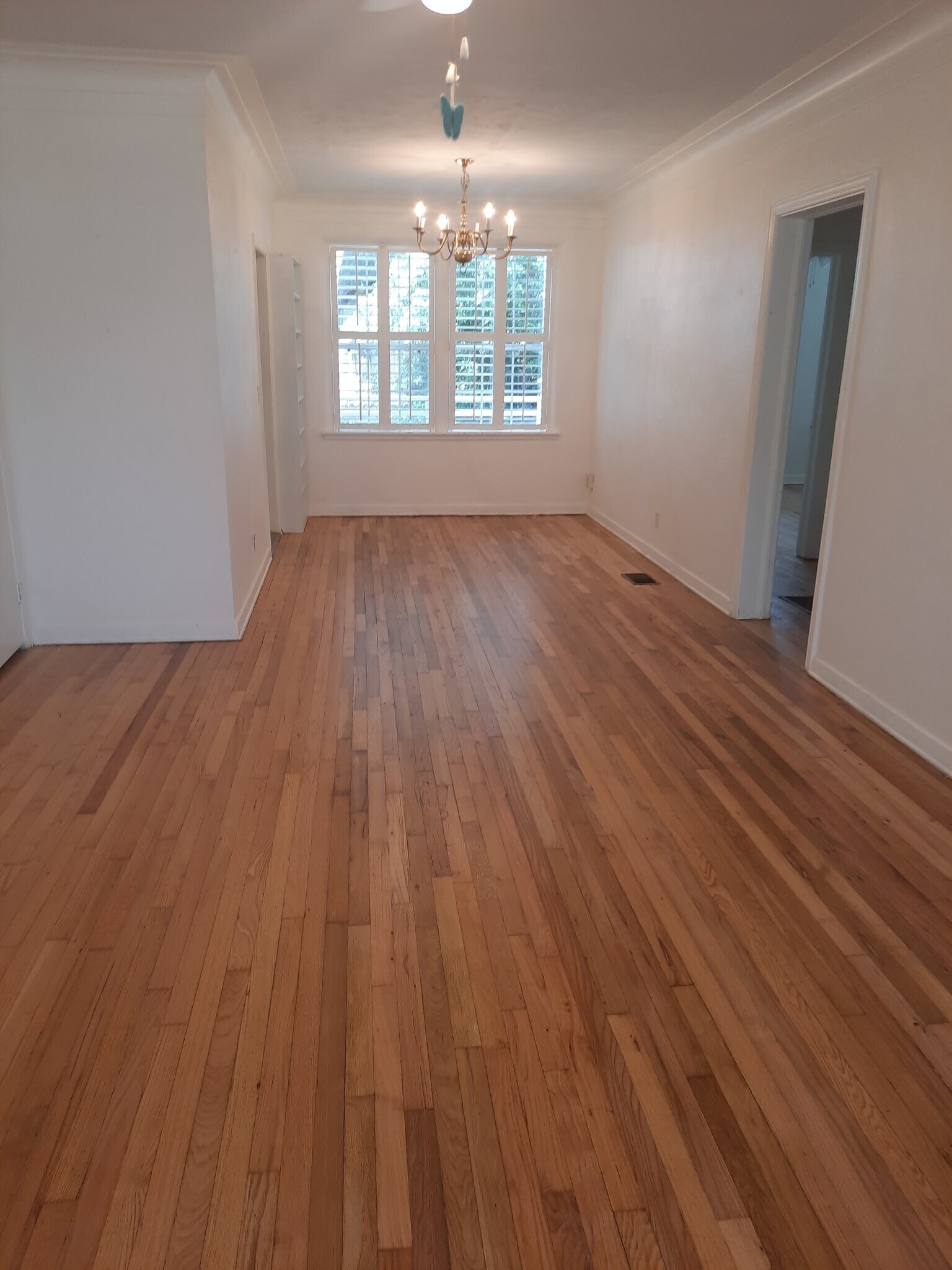 Building Photo - 512 Phoenix Ave