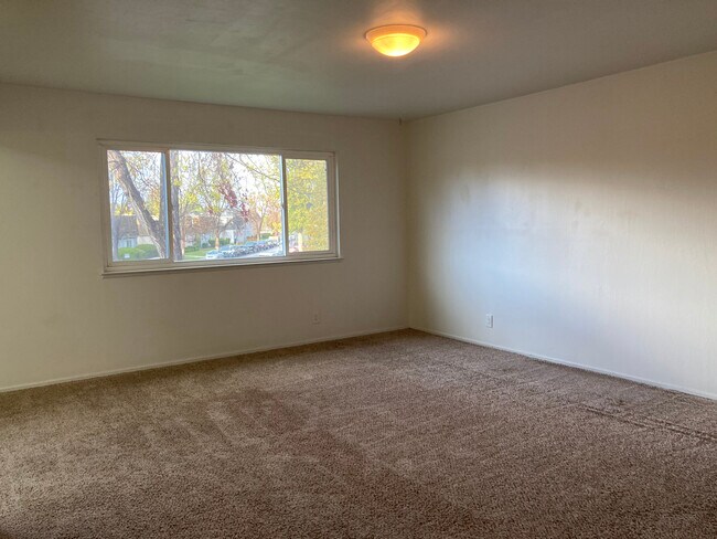 Natural Light Living room - 1737 Ross Cir