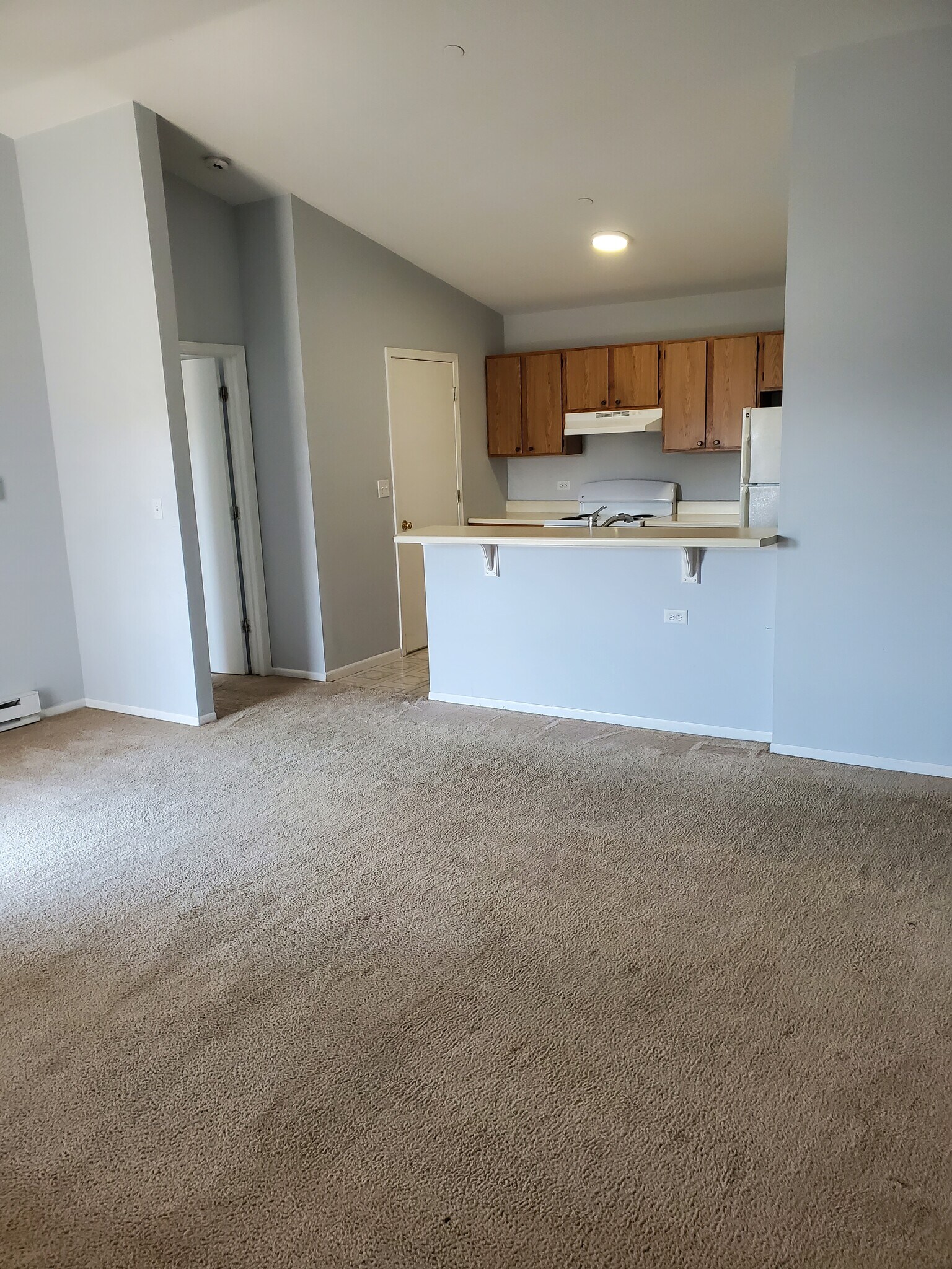 Building Photo - 1373 Cunat Ct