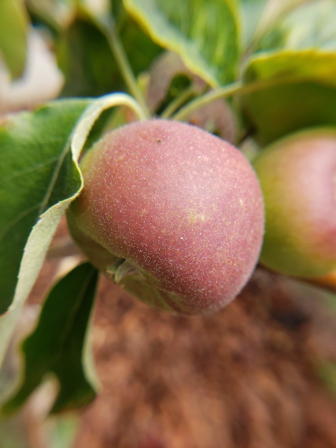 Building Photo - 5421 Market St