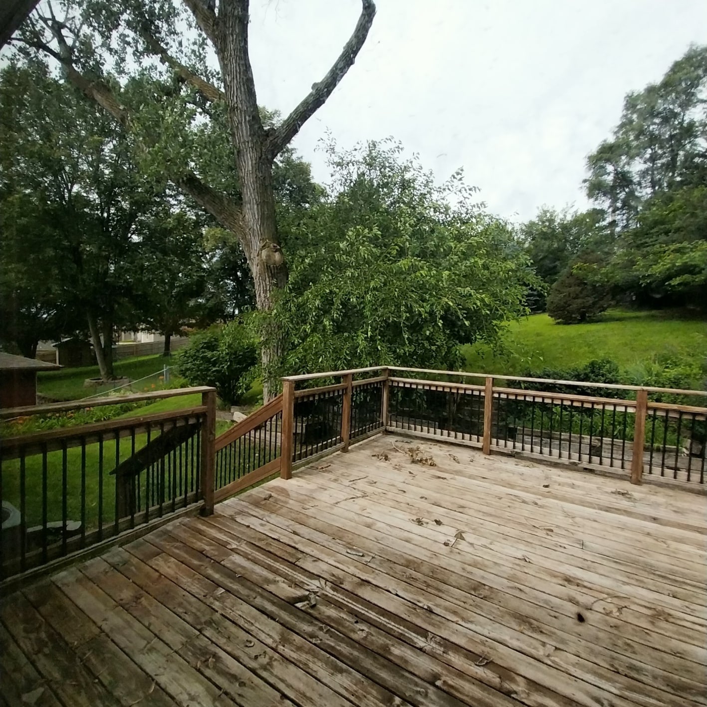 Backyard Space and Deck - 208 Sandi Ct