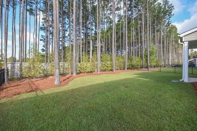 Building Photo - 67 Timber Skip Dr
