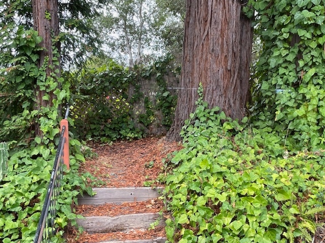 Back of Property - 1485 Timberhill Rd