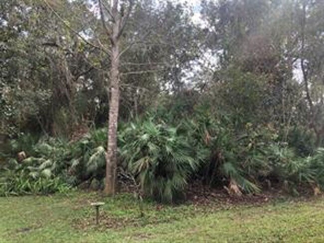 Building Photo - 170 Palmetto Woods Ct