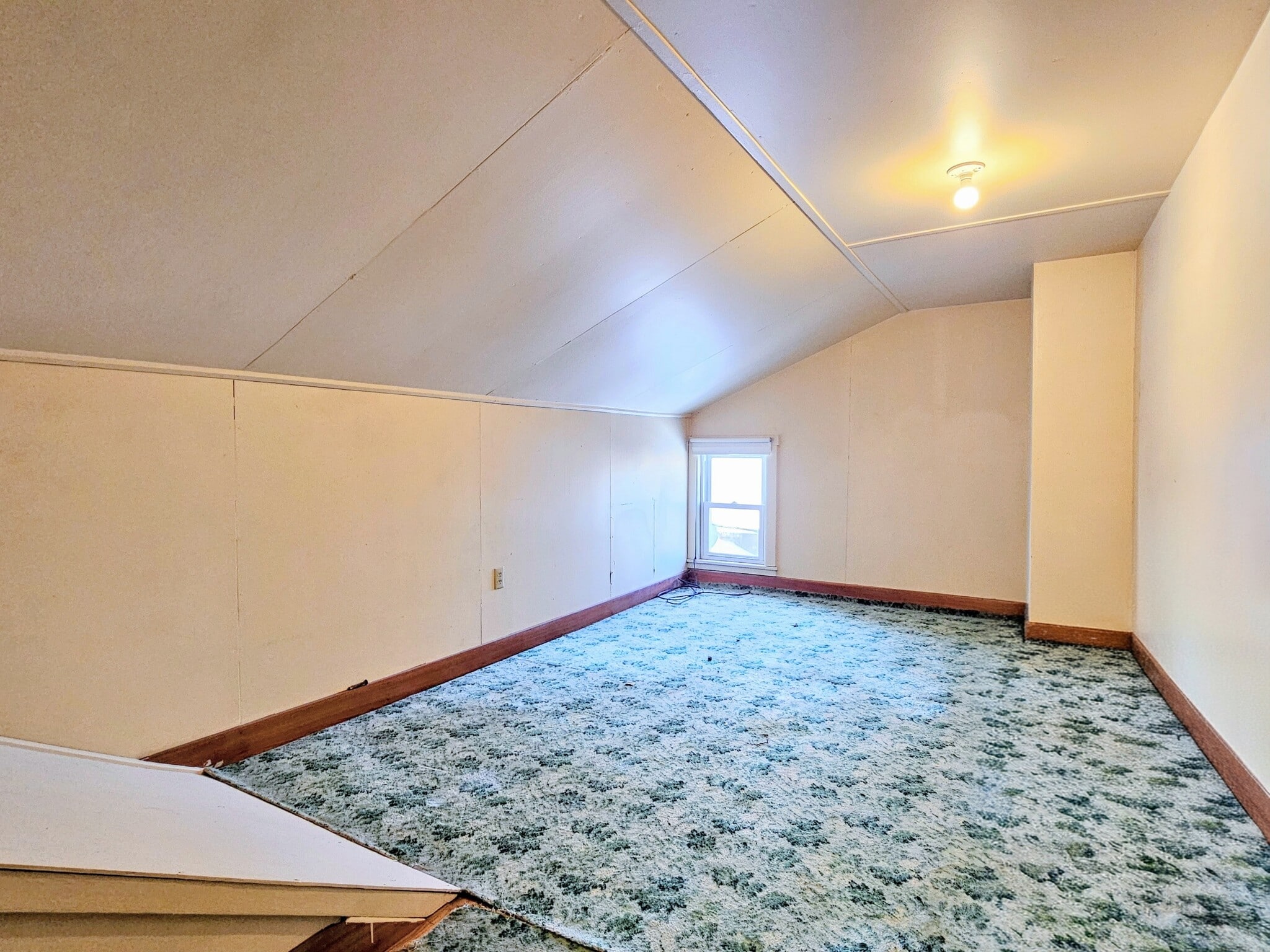 Building Photo - 534 Walnut St