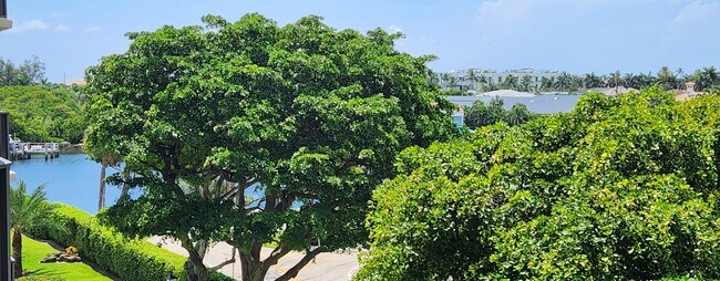 Building Photo - 859 Jeffery St