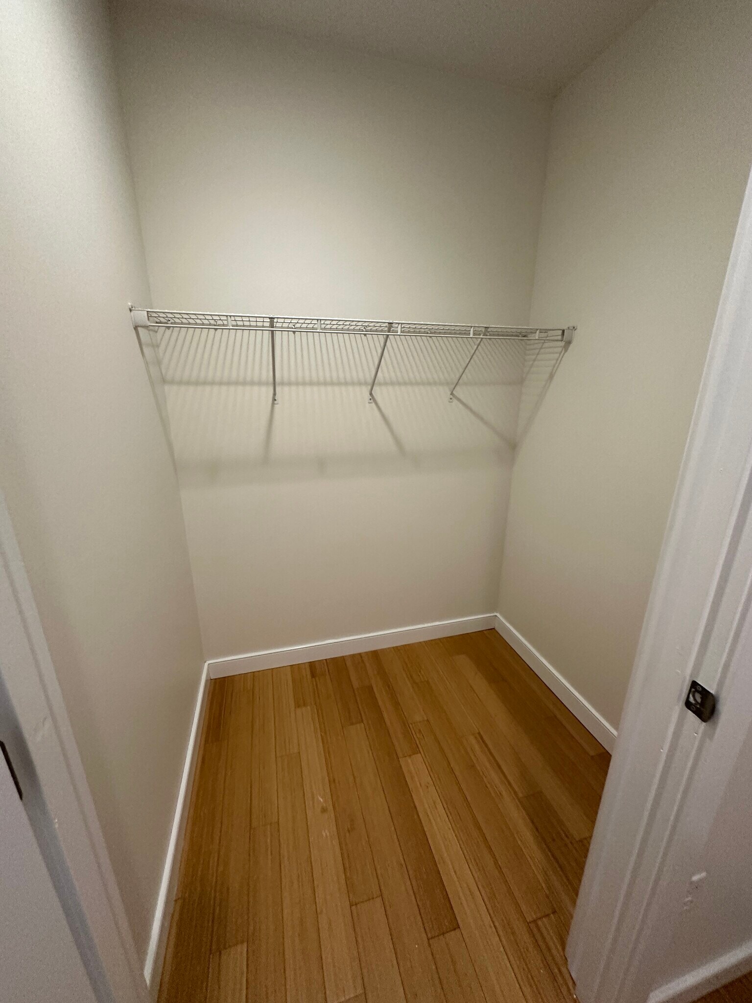 Building Photo - 599 Albany St