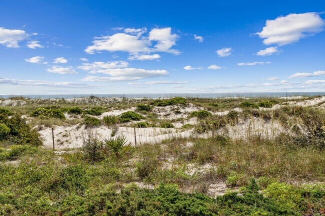 Building Photo - Amelia Island Ocean Front Condo