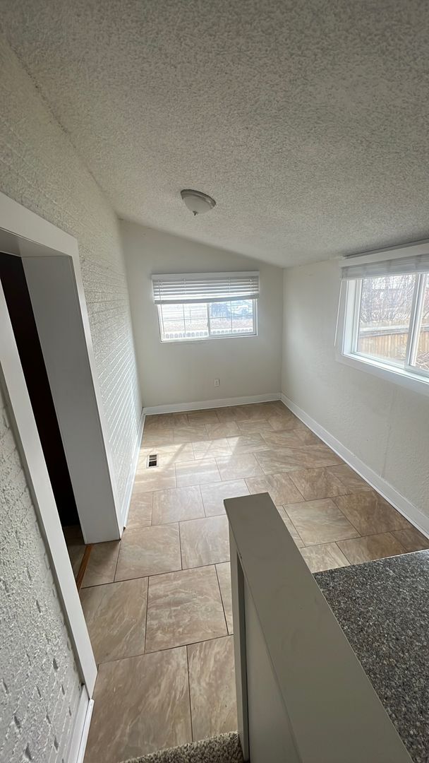 Building Photo - Remodeled Historic Home near RiNo & Five P...