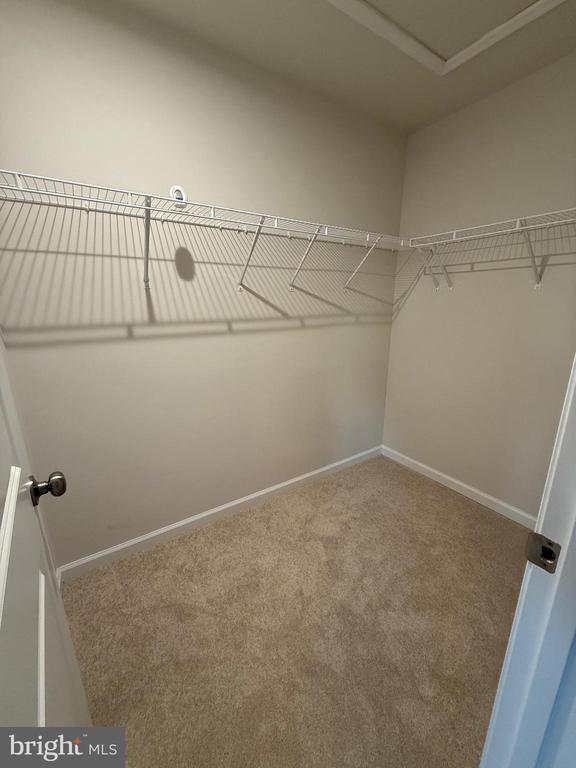 Building Photo - 179 Olympus Rd