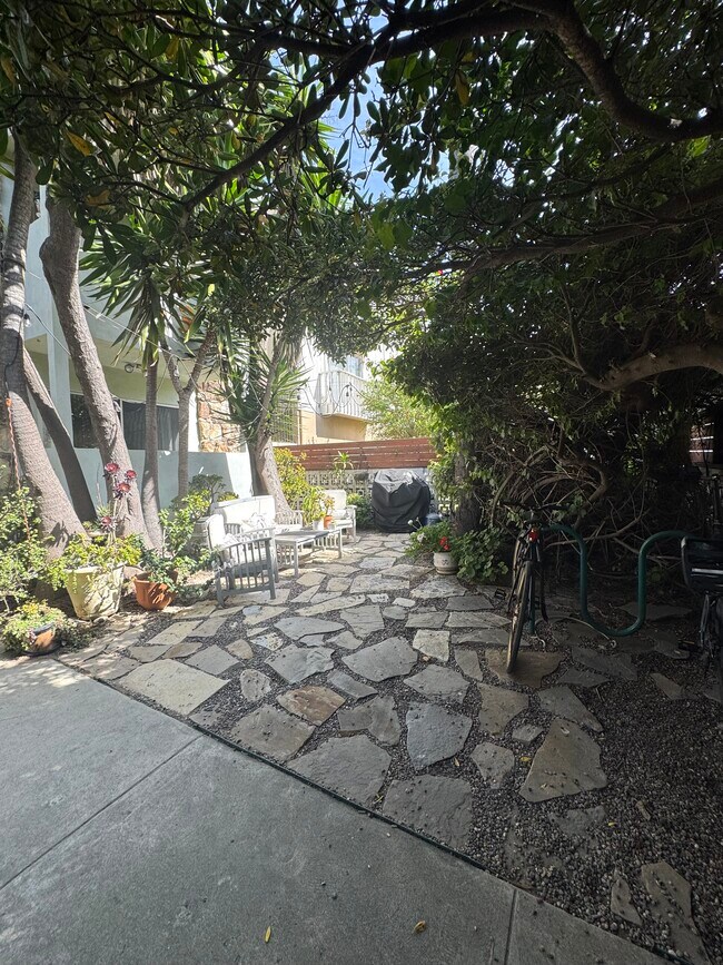 shared front yard - 33 Paloma Ave