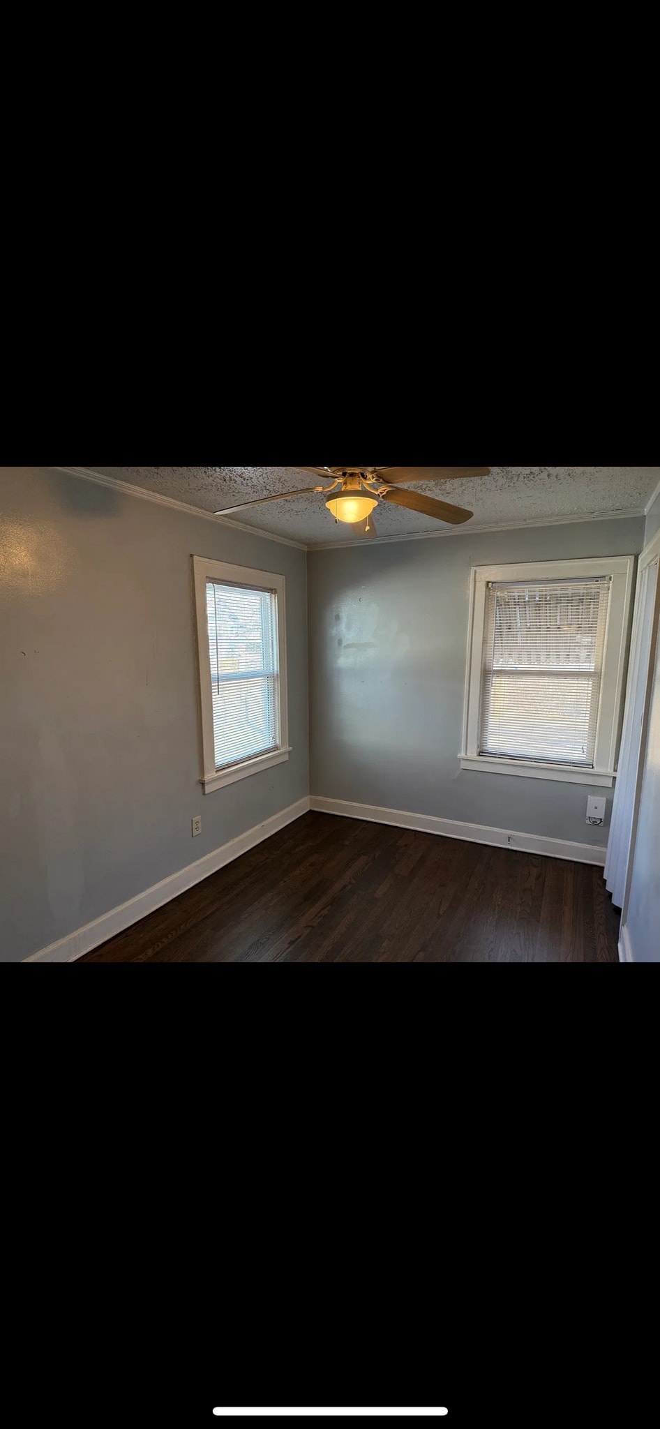 Building Photo - 4117 Charlotte St