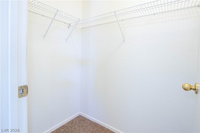 Building Photo - 3747 Shadow Tree St