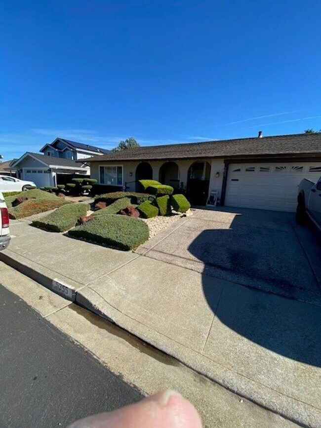 Building Photo - Beautiful Single Story Home Located in Ple...