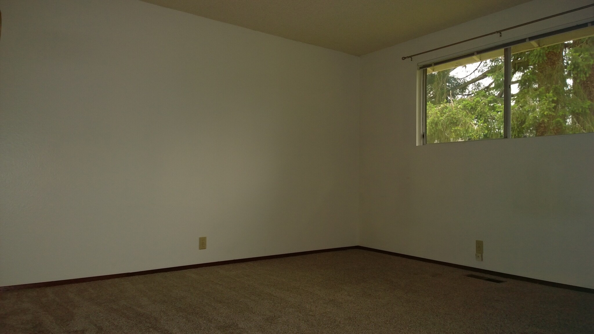 Room 1 - 271 146th Pl NE
