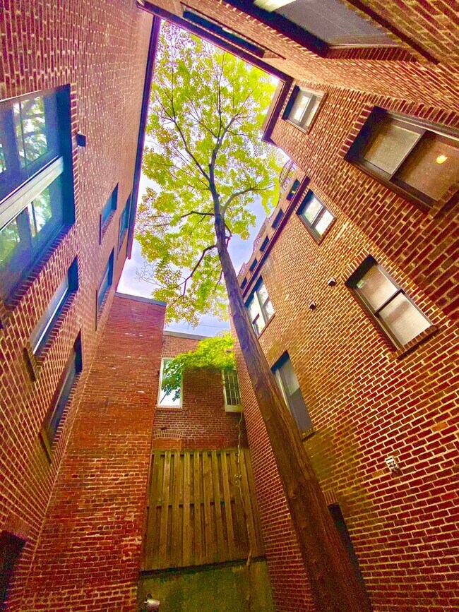 Building Photo - SAVE OVER $200!* Dupont Circle 1 Bedroom Charmer with Patio, Fireplace, Central Air, Washer/Dryer!