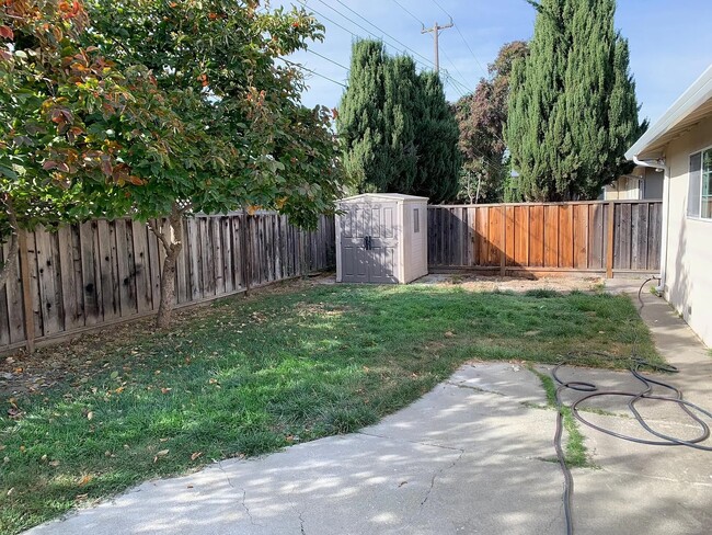 Backyard with storage unit - 35249 Lancero St