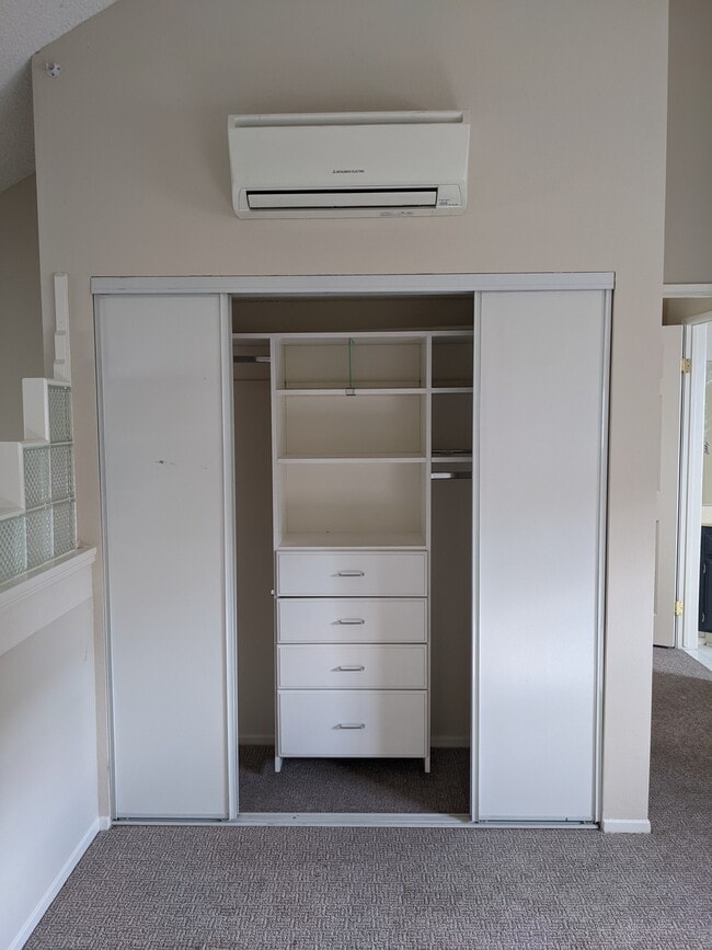 BD 2 closet - 1097 Blanche St