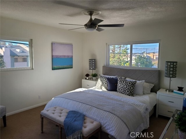 Building Photo - 1206 Phelan Ln