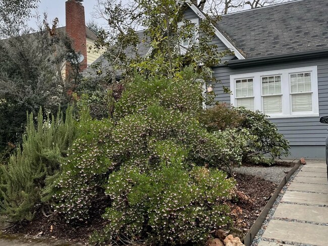 Primary Photo - Knott House