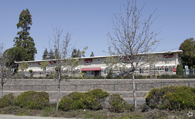 Primary Photo - Pacifica Apartments