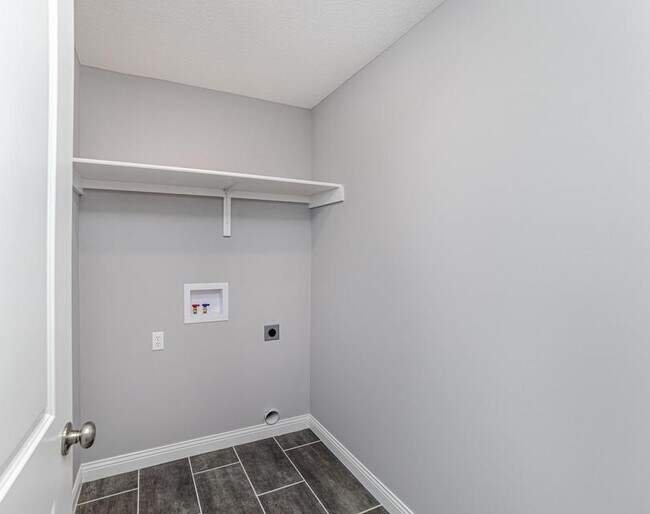Building Photo - 3708 Parrot Ct