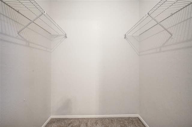 Building Photo - 740 Bluebonnet Dr