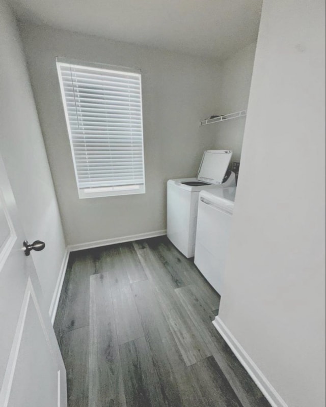 Building Photo - 83 Charlotte St