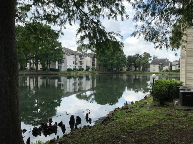 Building Photo - Cozy 1 Bedroom/1 Bathroom Near Millennium Mall!