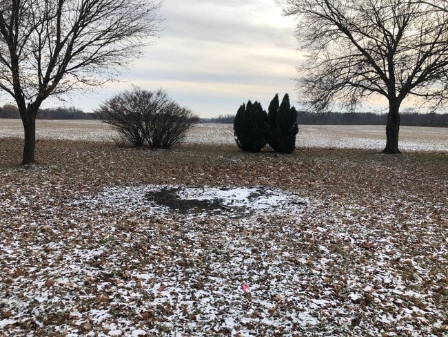 Building Photo - 7820 E Mt Hope Hwy