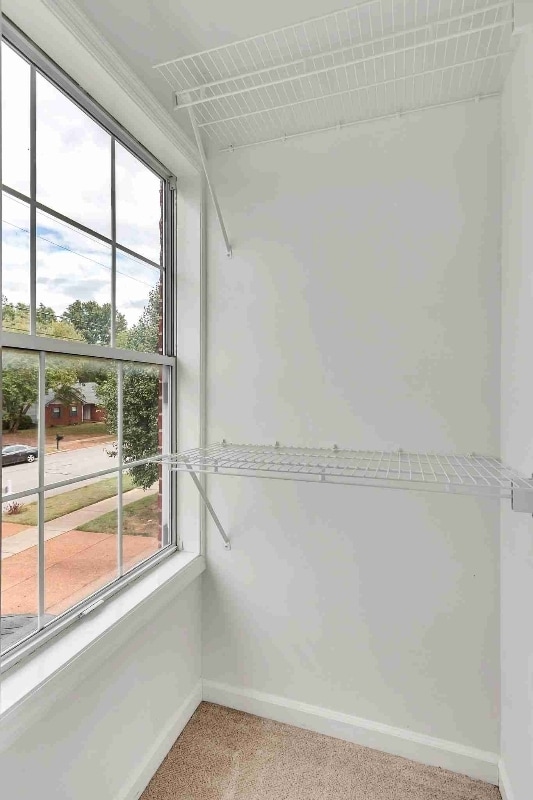 Building Photo - 1520 Birchwood Cir