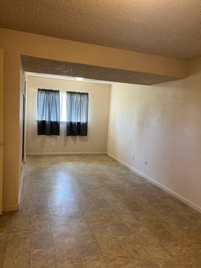 Lower level huge bedroom - 2412 Dodd Ln