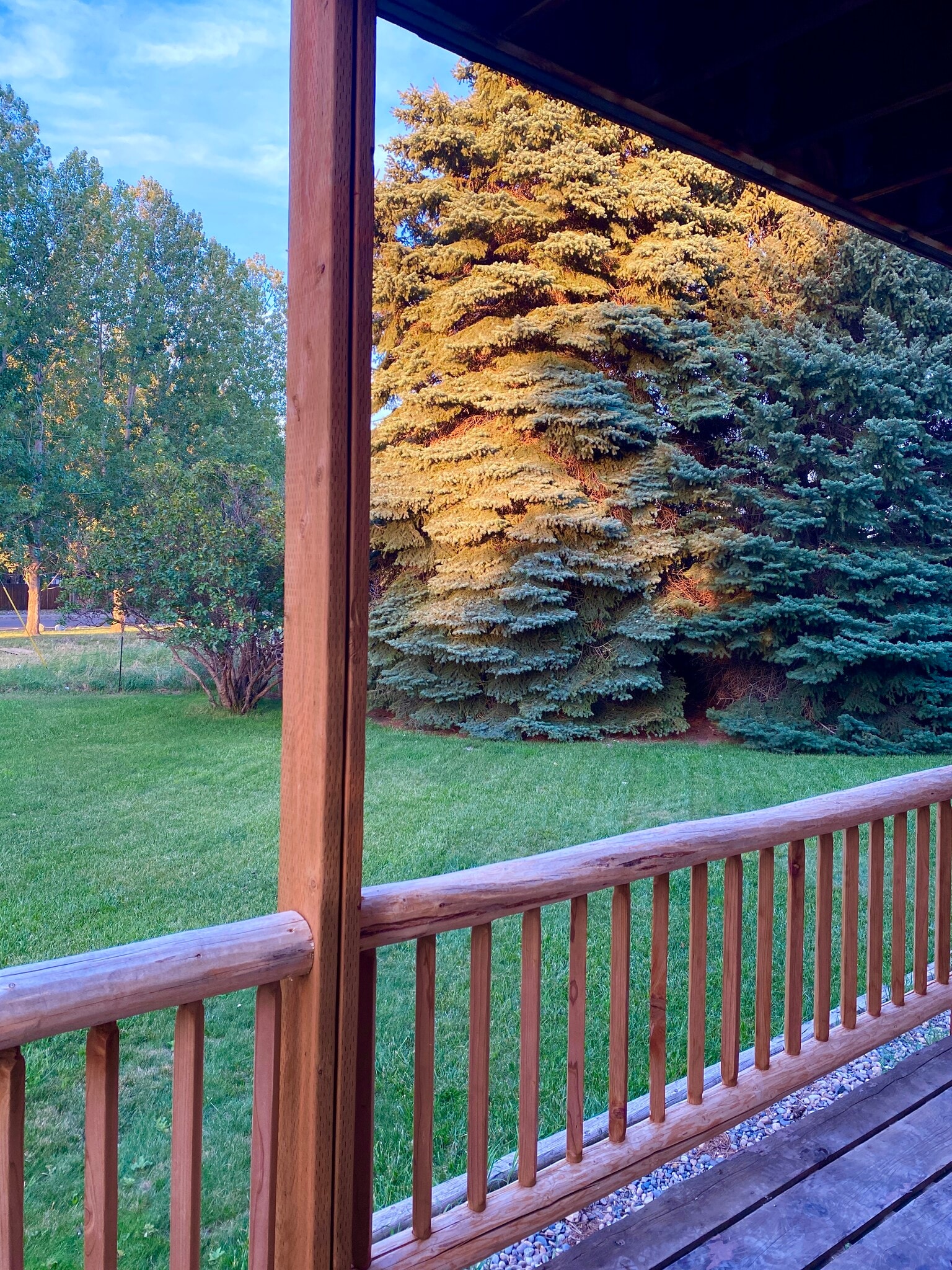 Back Deck View - 1343 Bitterroot Dr