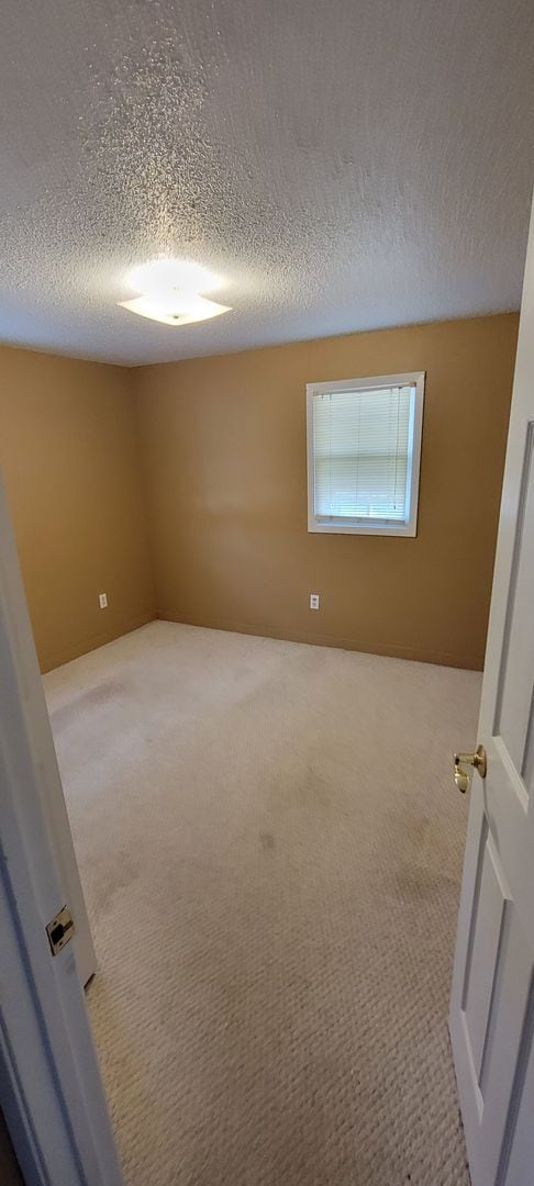Building Photo - Available August 1st - 3 Bed Home in Cloqu...