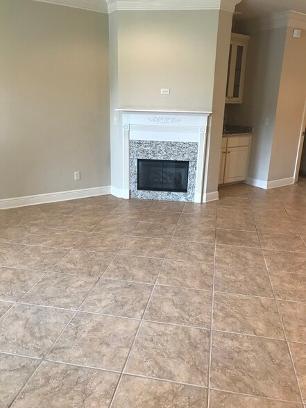 Gas fireplace - 413 Halteria Ln
