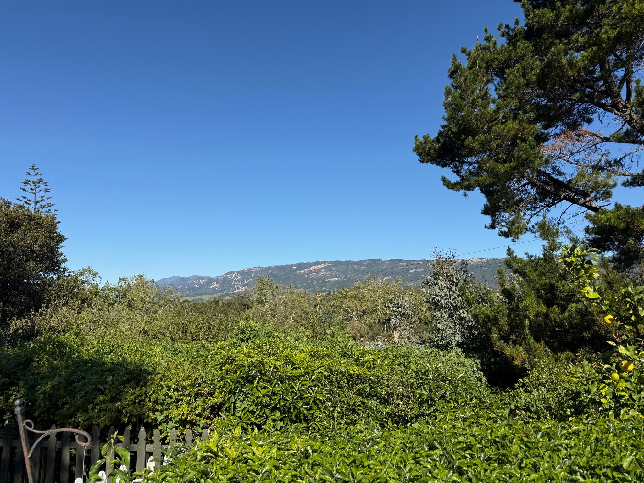 Building Photo - 486 Vaquero Ln