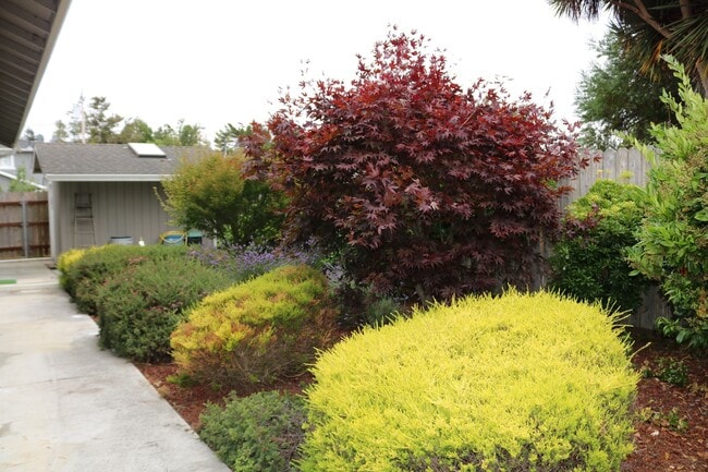 Building Photo - Gorgeous, spacious 3/2.5 with garage and o...