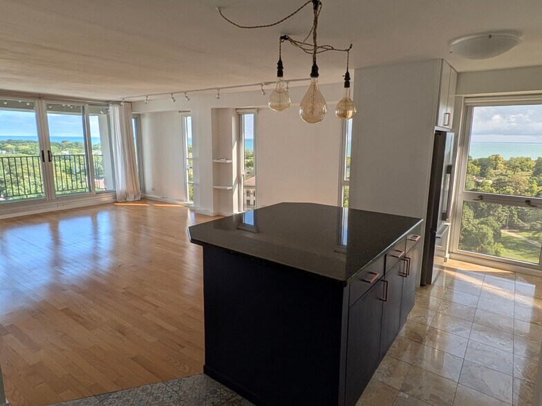 3. Living Dining Space - 1960 N Lincoln Park W